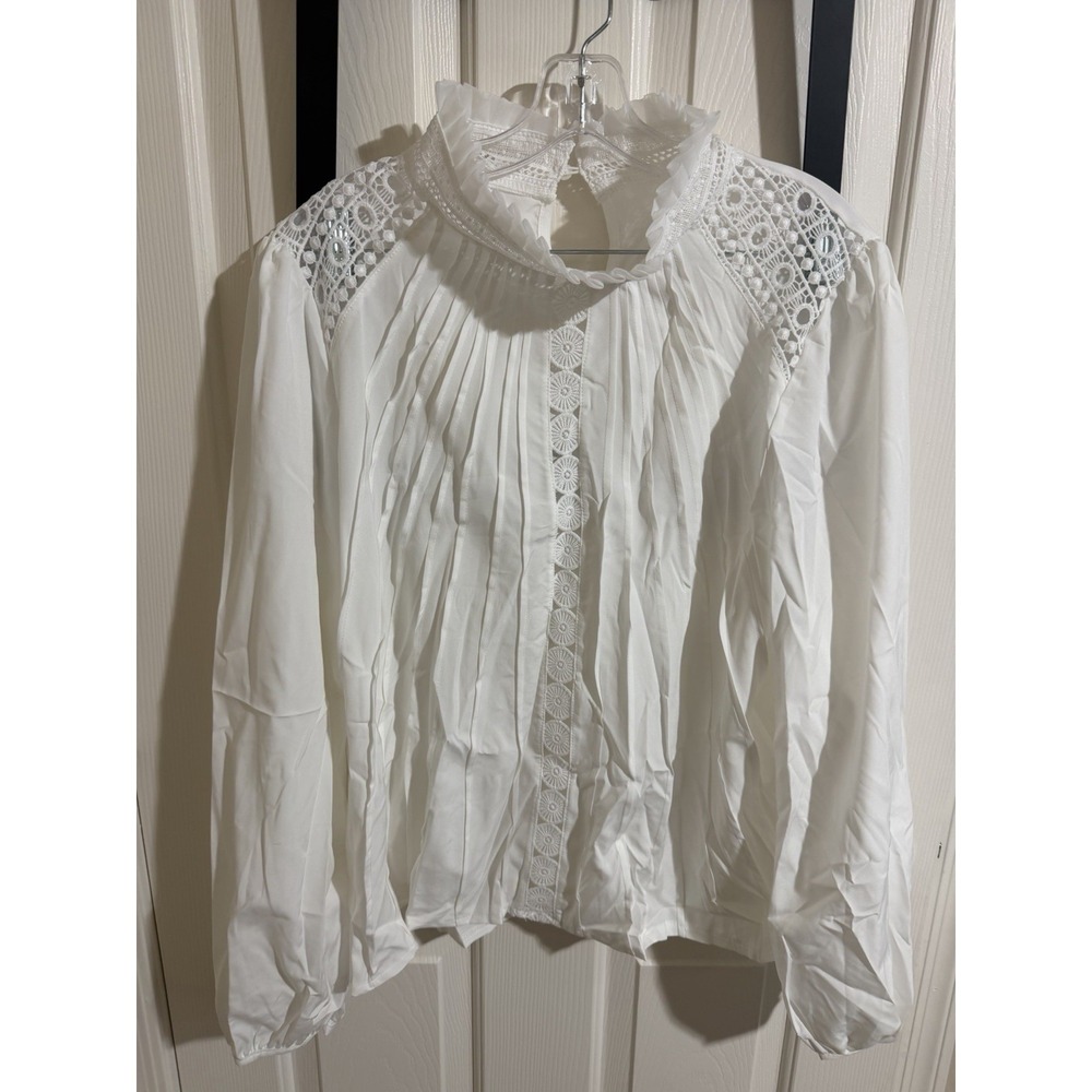 Temu White Lace Ruffle Collar Long Sleeve Blouse Pleated Top 4XL SY-174-WDW-D-2